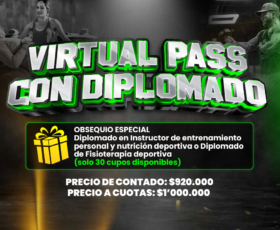 Experiencia Virtual
